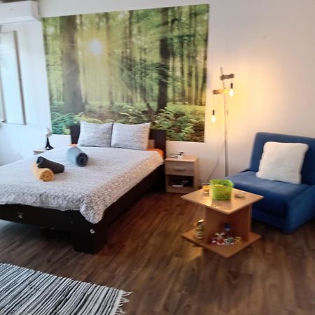 Car Lazar Apartment Belgrád Kültér fotó