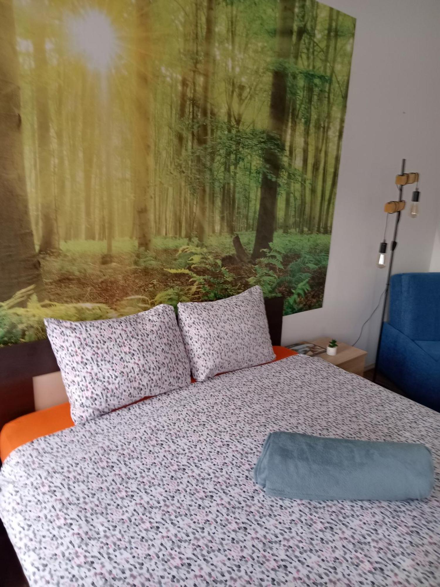 Car Lazar Apartment Belgrád Kültér fotó