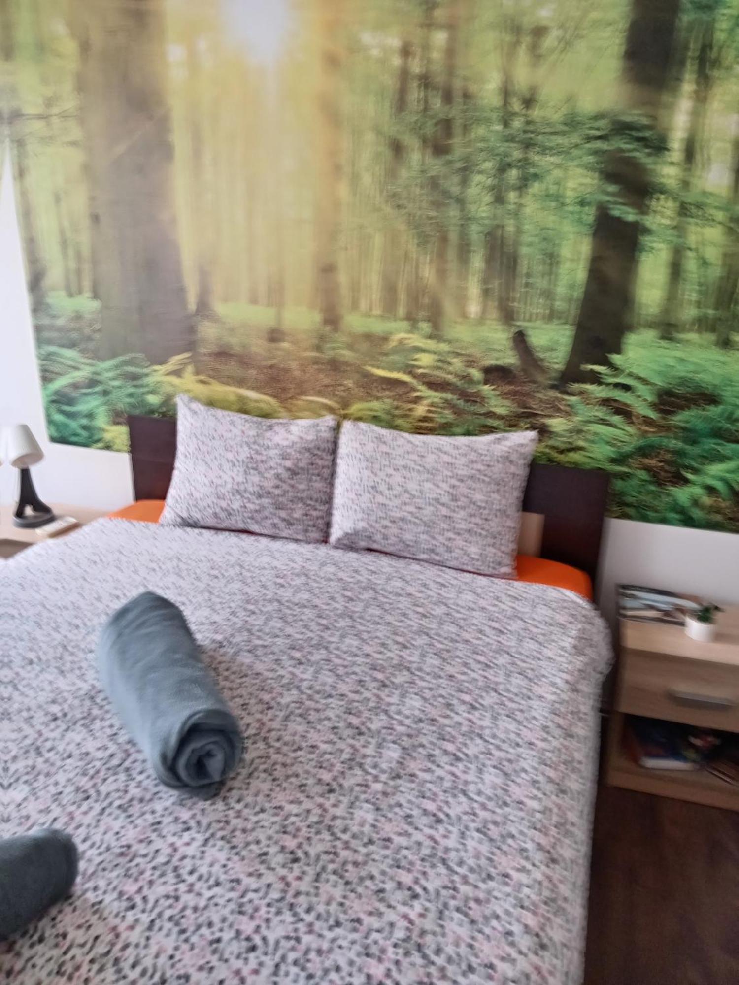 Car Lazar Apartment Belgrád Kültér fotó