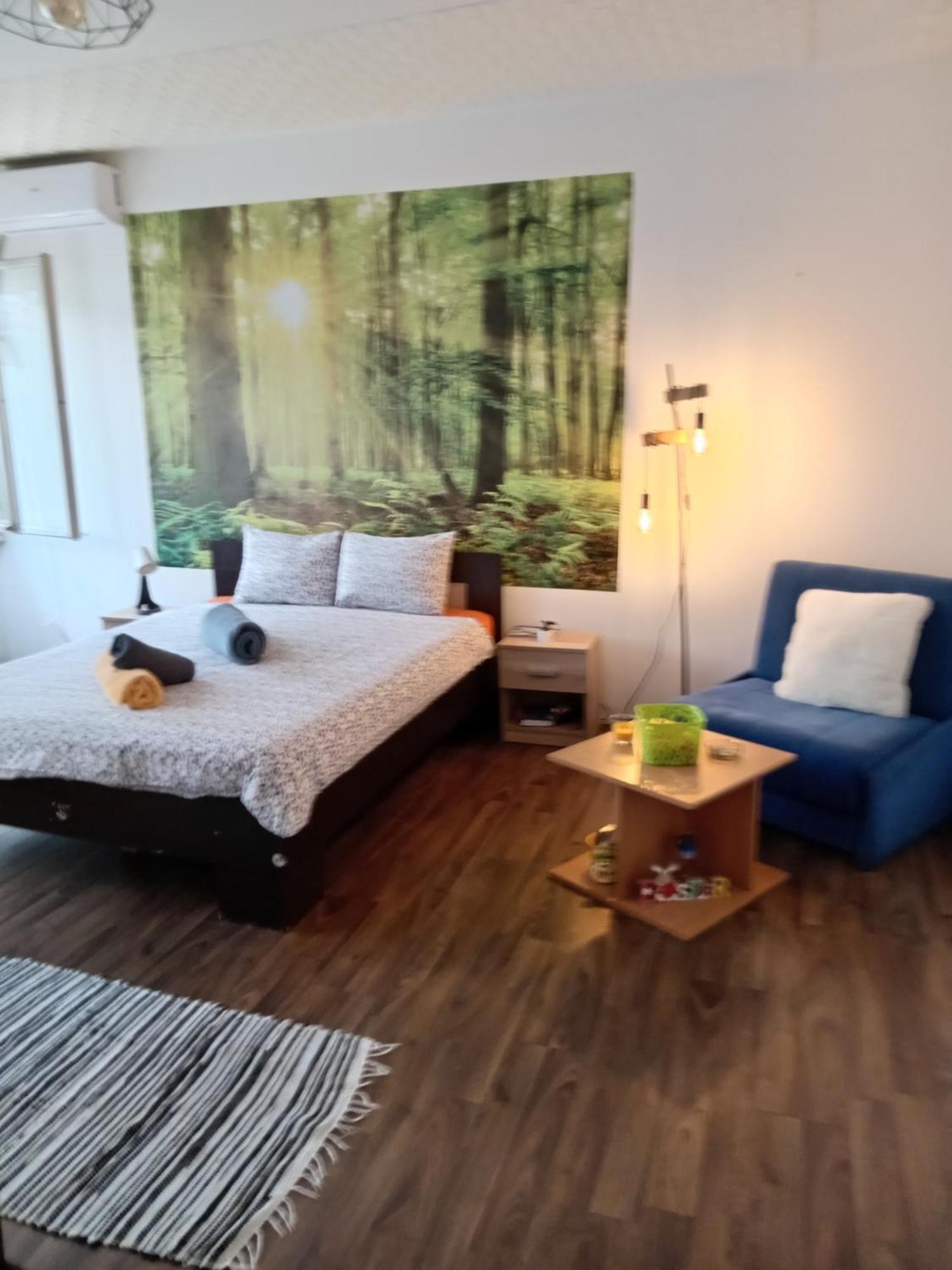 Car Lazar Apartment Belgrád Kültér fotó